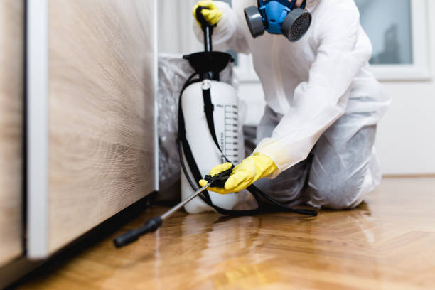 Best Termite Control Services  in Pinewood, FL
