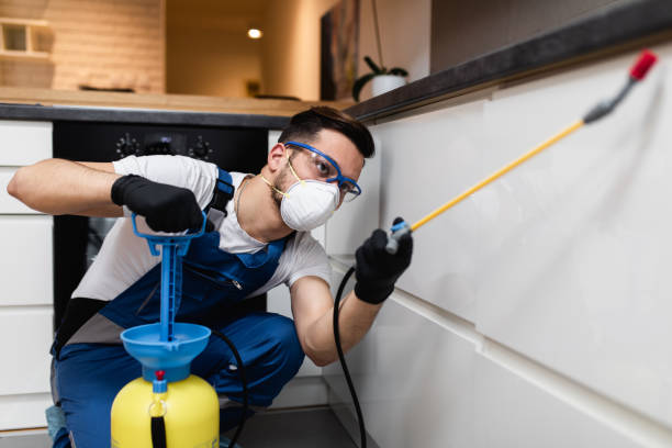 Best Cockroach Control Services  in Pinewood, FL