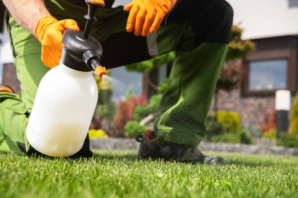 Best Emergency Pest Control  in Pinewood, FL